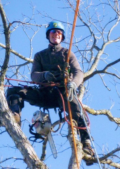 Pruning Rory in tree