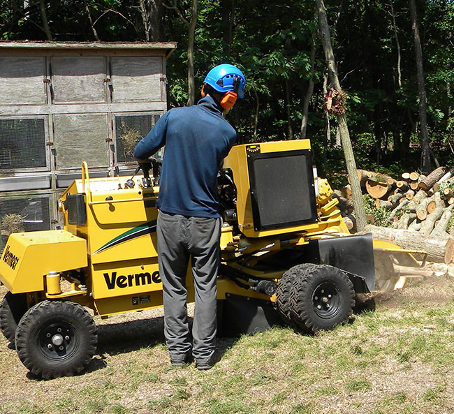 Services – Stump Grinding